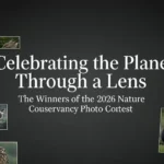 Celebrating the Planet Through a Lens The Winners of the 2026 Nature Conservancy Photo Contest
